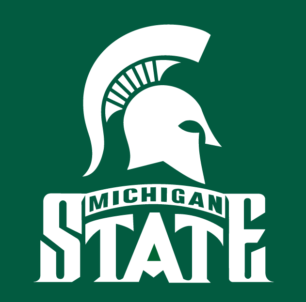 Michigan State Spartans 1987-Pres Alternate Logo v2 diy DTF decal sticker